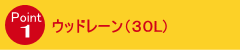 【ポイント1】レーン・マシン・コンピュータ